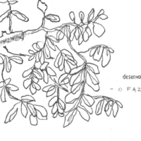 profides_2021_Degussite