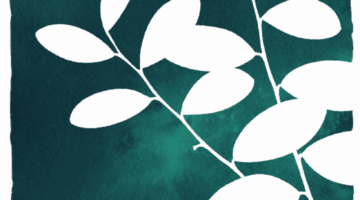 fundo borda - planta 1 - verde