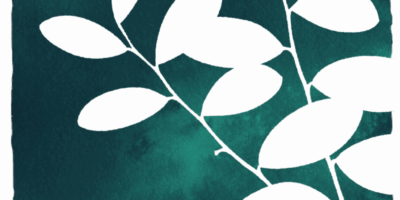 fundo borda - planta 1 - verde